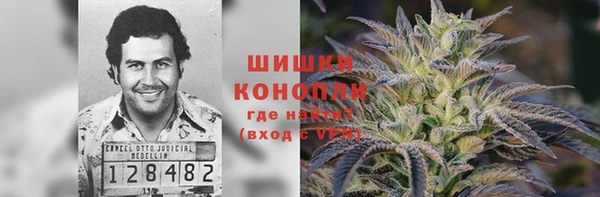 шишки Аркадак