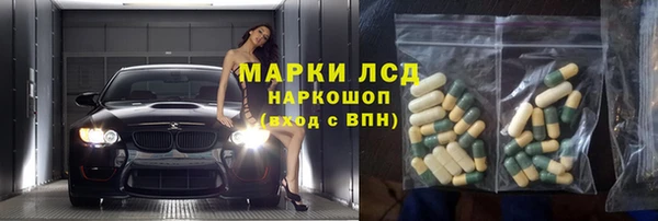 шишки Аркадак
