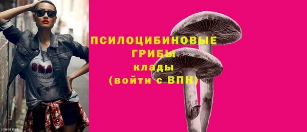 шишки Аркадак