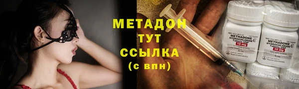 шишки Аркадак