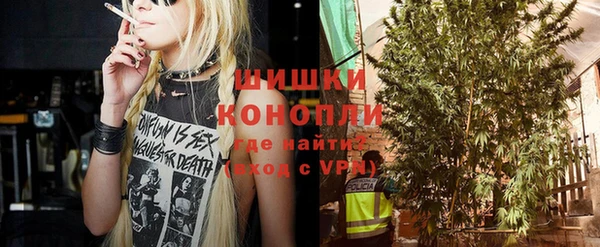шишки Аркадак